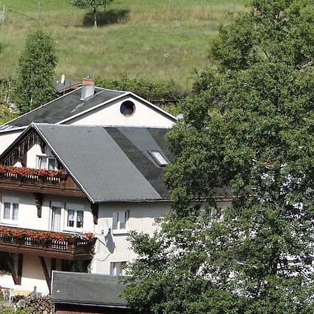 Fewo Angelika Dg Rohrbach  Exteriér fotografie
